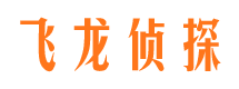 洛龙调查公司